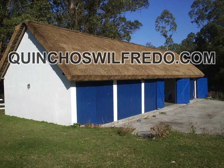 Quinchos Wilfredo