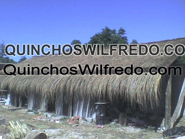 Quinchos Wilfredo