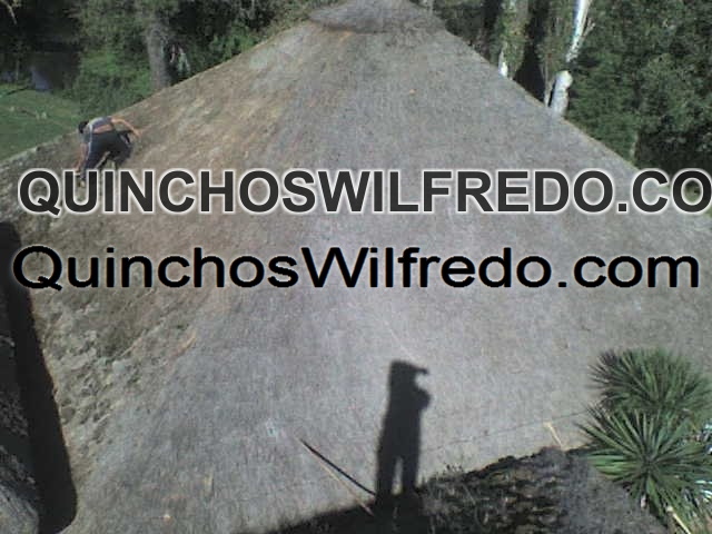 Quinchos Wilfredo