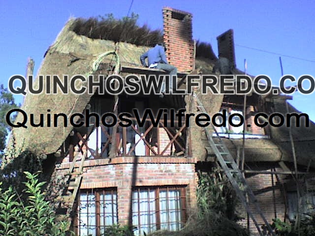 Quinchos Wilfredo