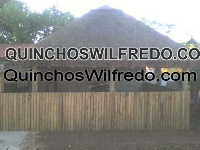 Quinchos Wilfredo