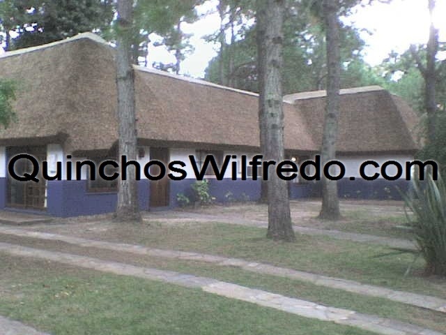Quinchos Wilfredo