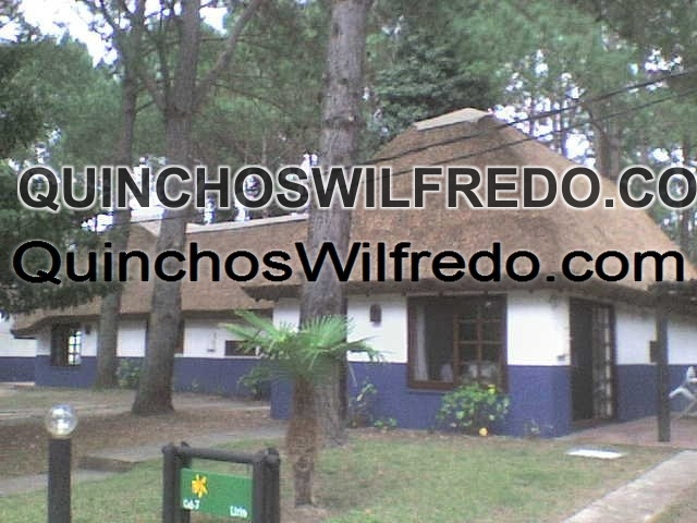 Quinchos Wilfredo