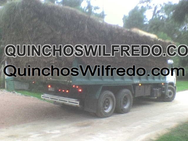 Quinchos Wilfredo