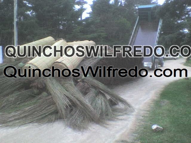 Quinchos Wilfredo