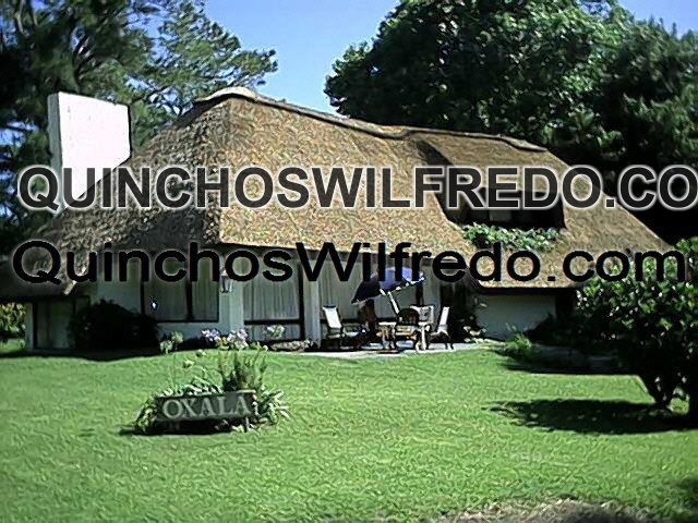 Quinchos Wilfredo