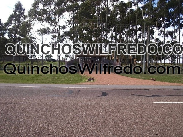 Quinchos Wilfredo