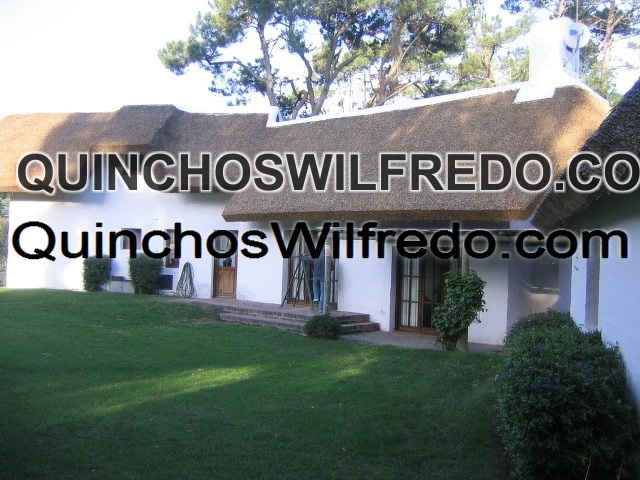 Quinchos Wilfredo