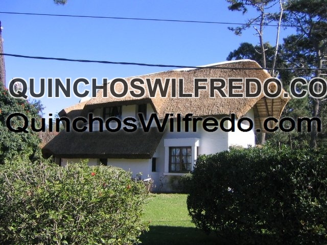 Quinchos Wilfredo