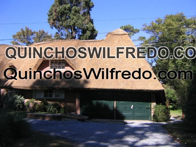 Quinchos Wilfredo