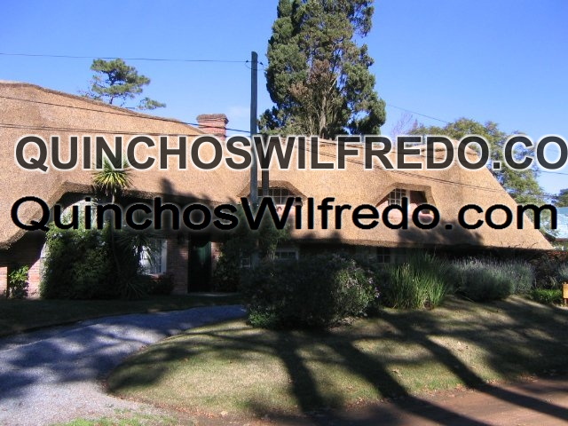 Quinchos Wilfredo