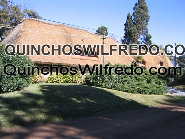 Quinchos Wilfredo