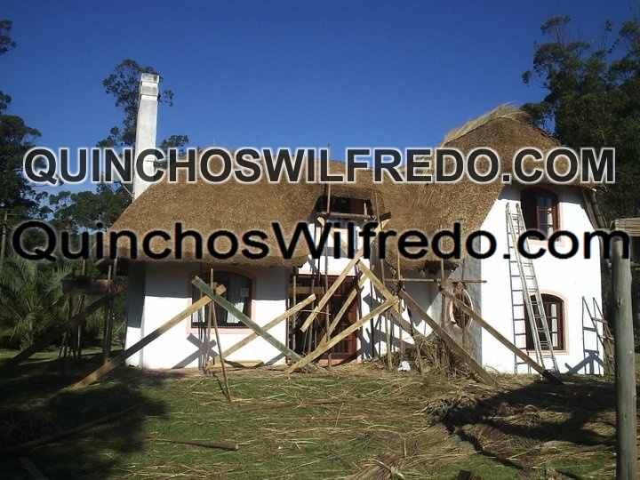 Quinchos Wilfredo