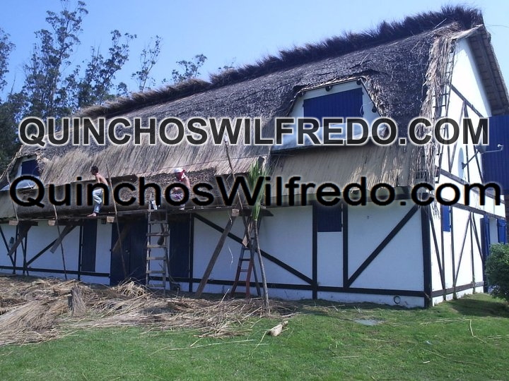 Quinchos Wilfredo