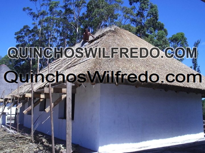 Quinchos Wilfredo