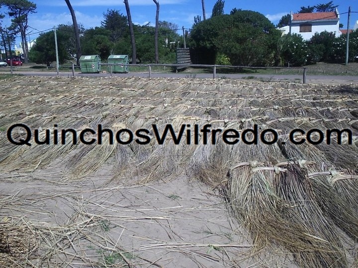 Quinchos Wilfredo