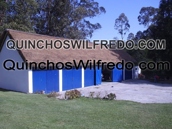 Quinchos Wilfredo