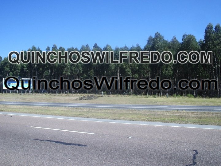 Quinchos Wilfredo