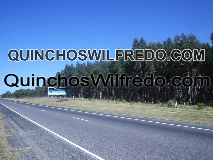 Quinchos Wilfredo