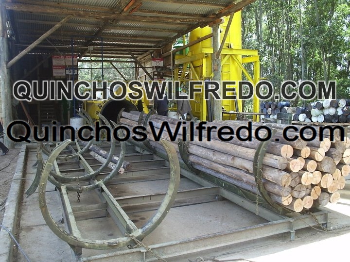 Quinchos Wilfredo