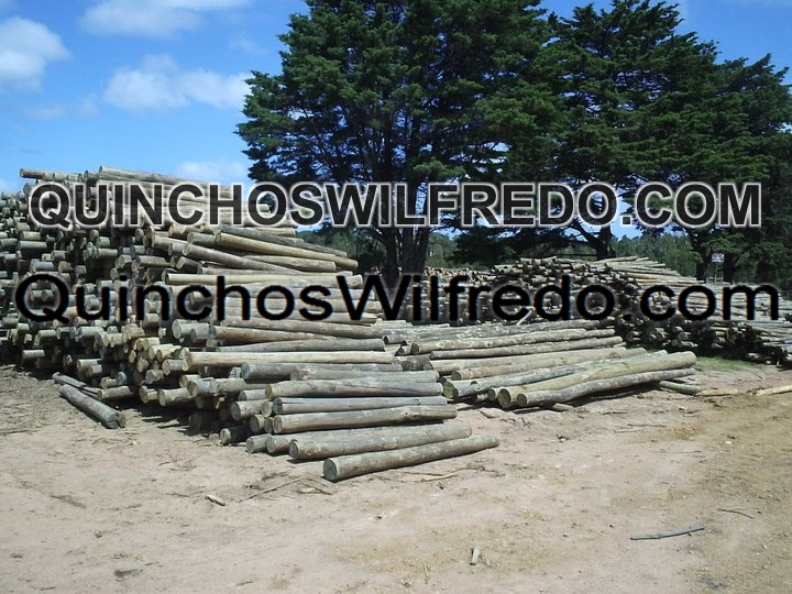 Quinchos Wilfredo