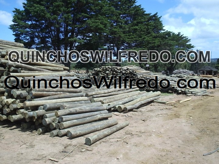 Quinchos Wilfredo