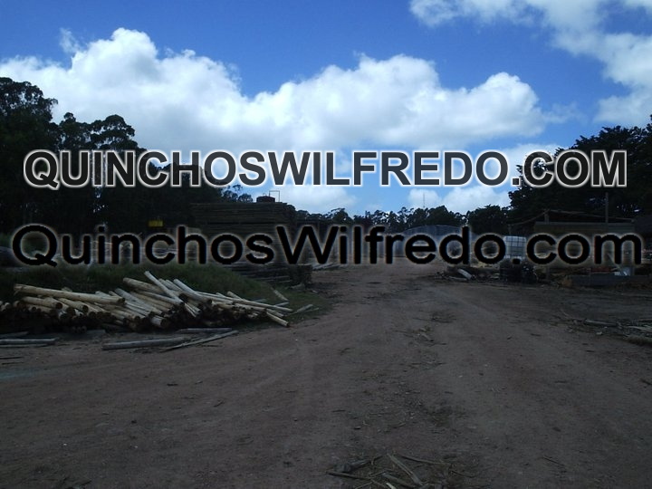 Quinchos Wilfredo