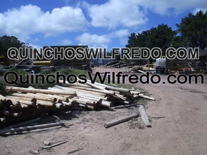 Quinchos Wilfredo