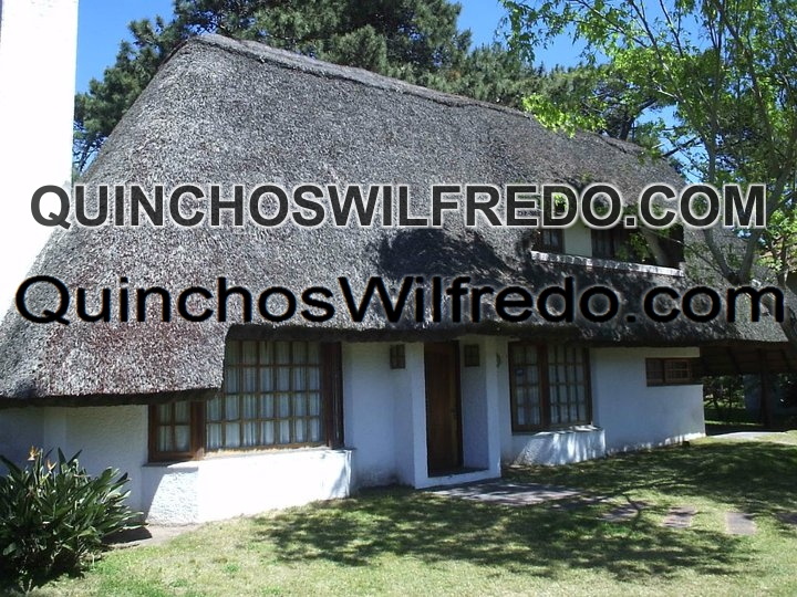 Quinchos Wilfredo