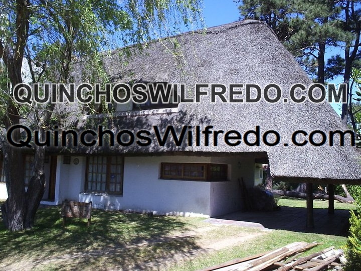 Quinchos Wilfredo