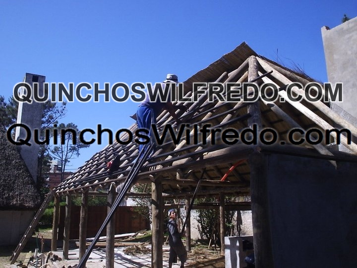 Quinchos Wilfredo