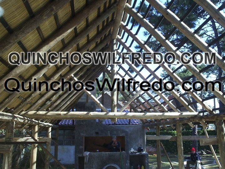 Quinchos Wilfredo