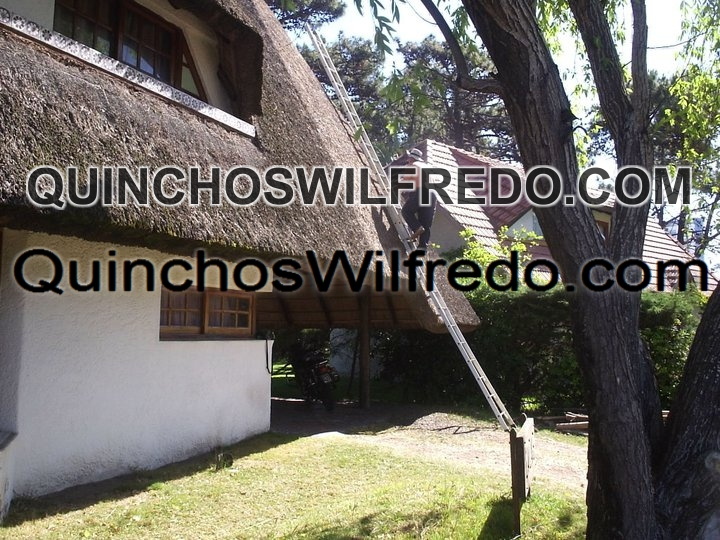 Quinchos Wilfredo