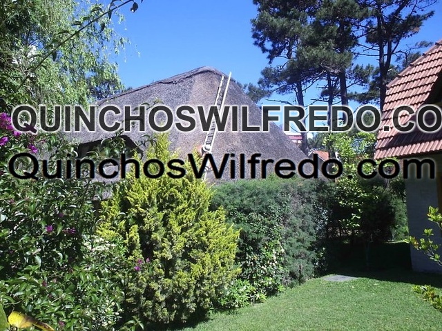 Quinchos Wilfredo