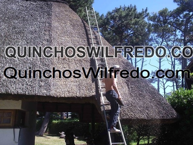 Quinchos Wilfredo
