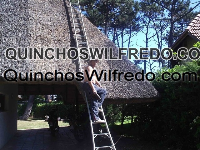 Quinchos Wilfredo