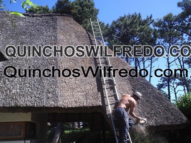 Quinchos Wilfredo
