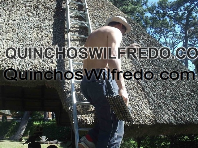 Quinchos Wilfredo