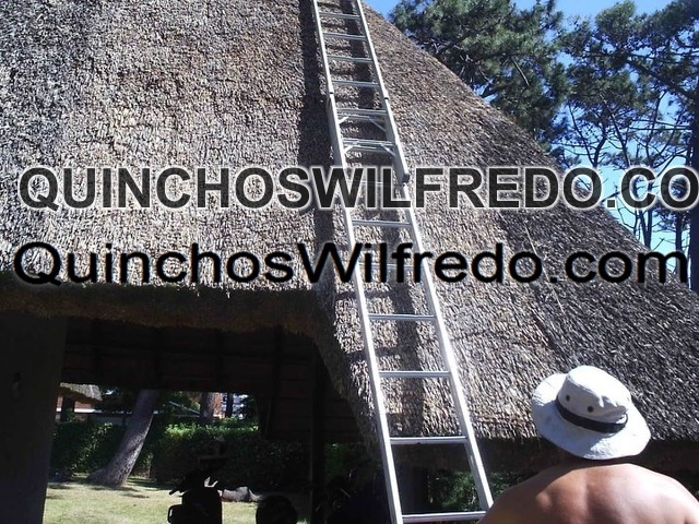 Quinchos Wilfredo