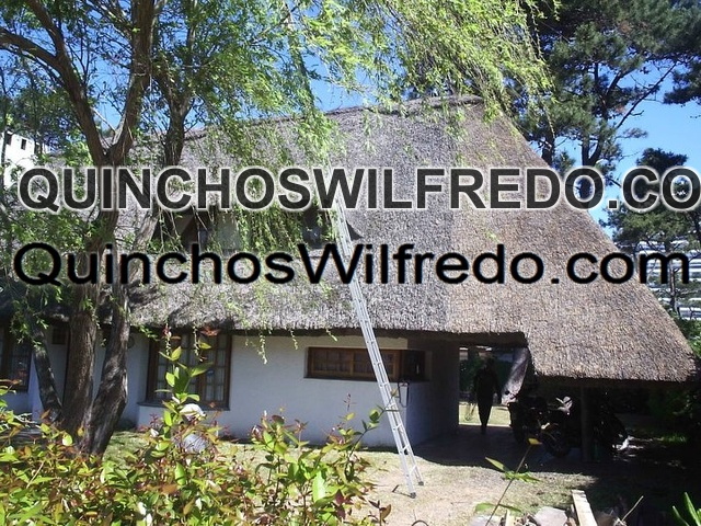 Quinchos Wilfredo