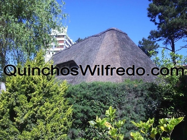 Quinchos Wilfredo