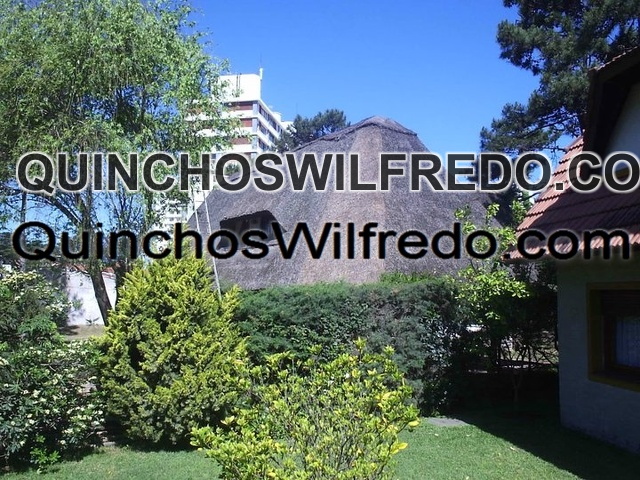 Quinchos Wilfredo