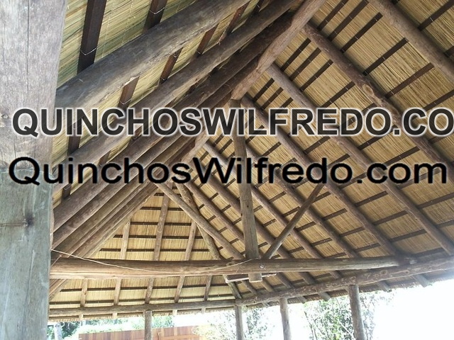 Quinchos Wilfredo