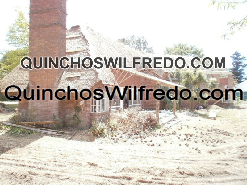 Quinchos Wilfredo