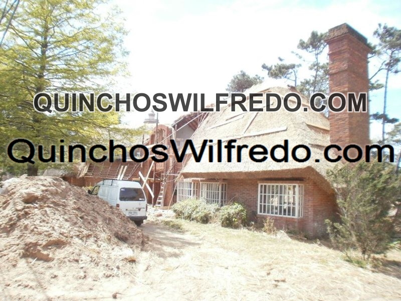 Quinchos Wilfredo