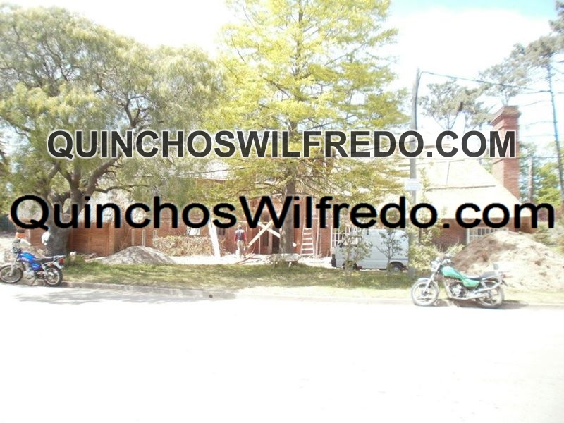 Quinchos Wilfredo