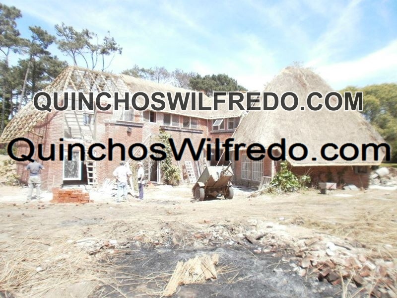 Quinchos Wilfredo