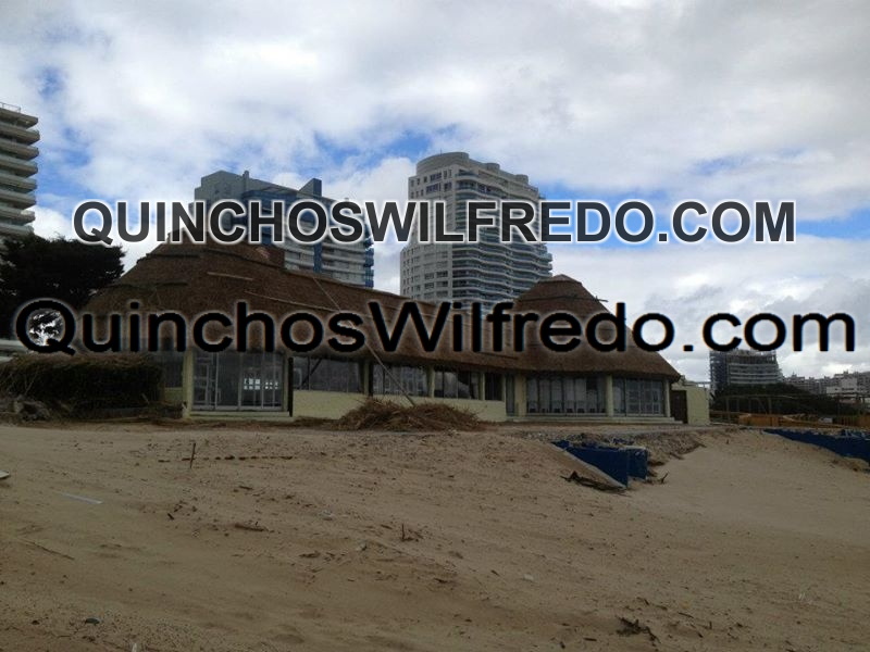 Quinchos Wilfredo
