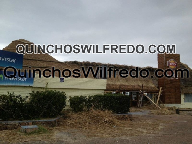 Quinchos Wilfredo