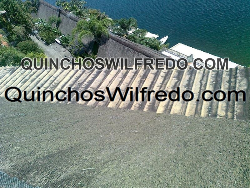 Quinchos Wilfredo
